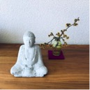 Dharma – Artha – Kama – Moksha und eine Krähe